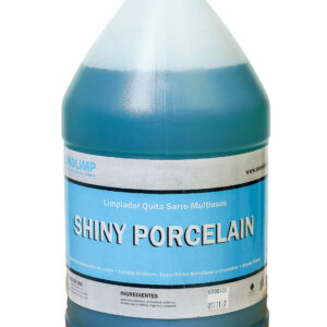 SHINY PORCELAIN